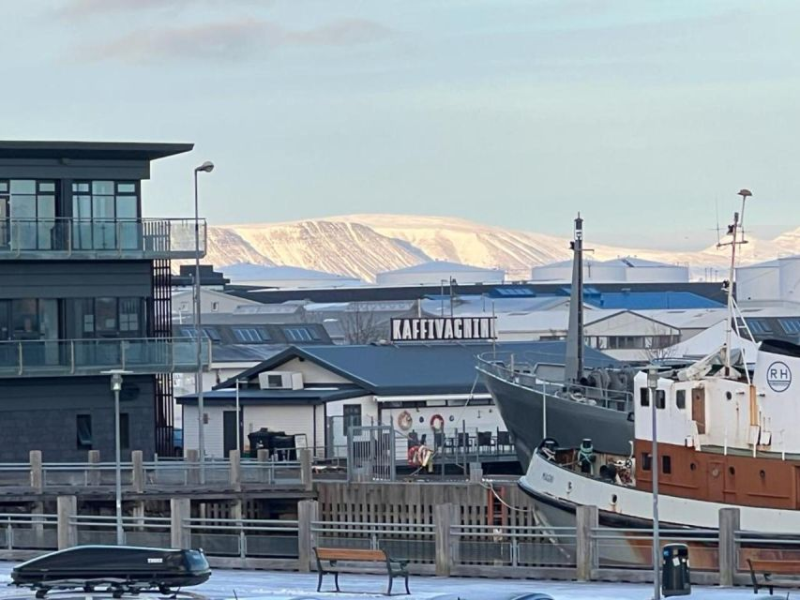 Exploring Reykjavik’s Old Harbour